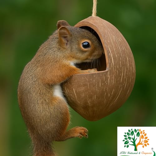 Bird Feeder Natural Coconut Shell Pack of 2 - Image 7