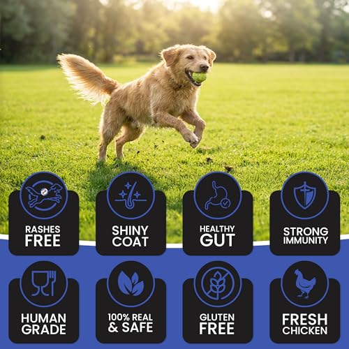 Dr.Pets Bistik Dog Food Treat