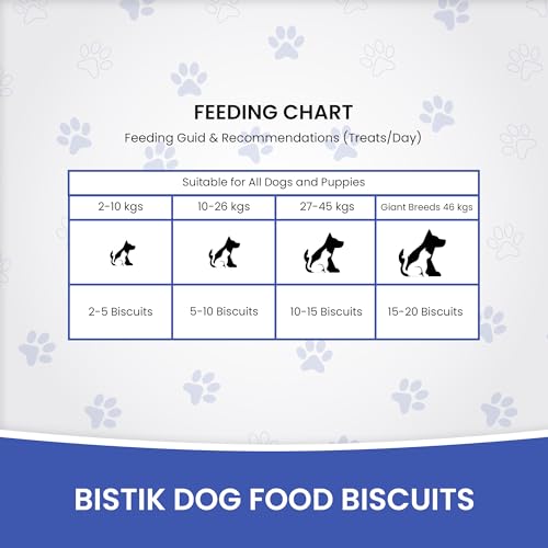 Dr.Pets Bistik Dog Food Treat