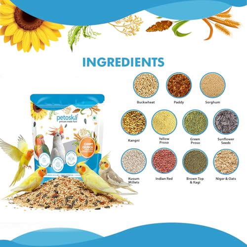 Petoska Chirpy Crunch Blended Seeds