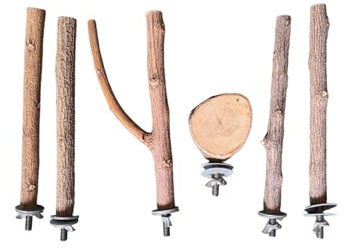 Natural Neem Wood Bird Perch