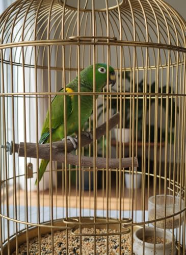 Natural Neem Wood Bird Perch
