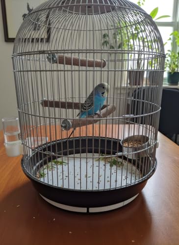 Natural Neem Wood Bird Perch