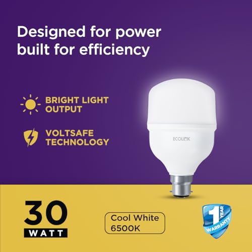 EcoLink 30-watt LED Bulb