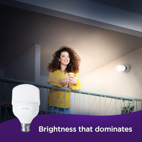 EcoLink 30-watt LED Bulb