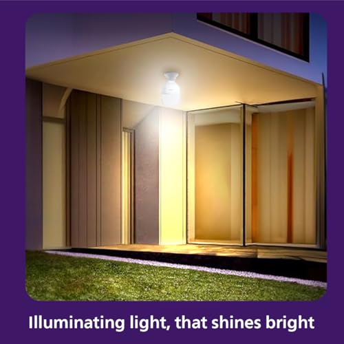 EcoLink 30-watt LED Bulb