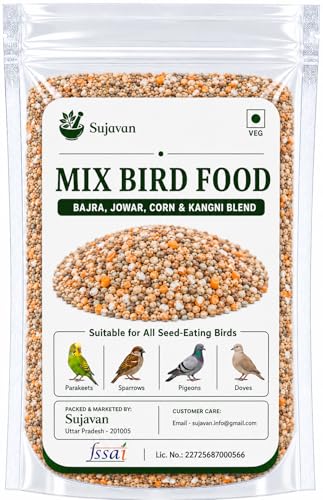 Outdoor Bird Feed Mix