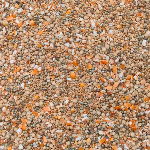 Outdoor Bird Feed Mix