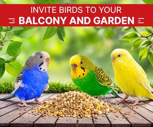 Outdoor Bird Feed Mix