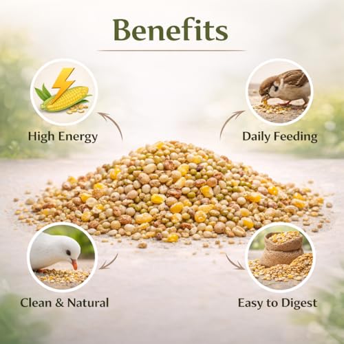 Outdoor Bird Feed Mix