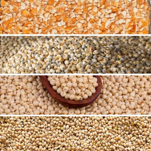 Outdoor Bird Feed Mix