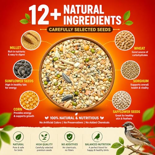 Wild Bird Food 500Gm
