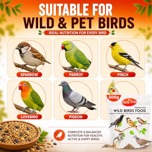 Wild Bird Food 500Gm