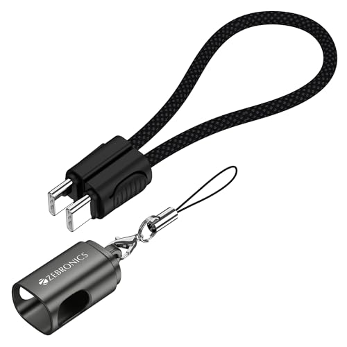 Zebronics Wattz 60CC4 Type-C