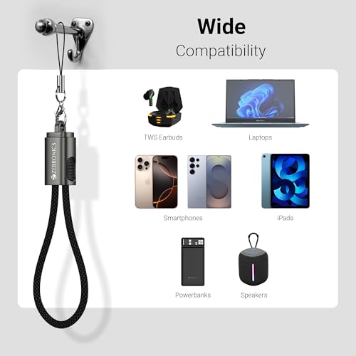 Zebronics Wattz 60CC4 Type-C