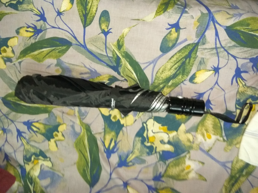 Flipkart SmartBuy UV Protection 2 Fold Umbrella (Blue) - Image 9