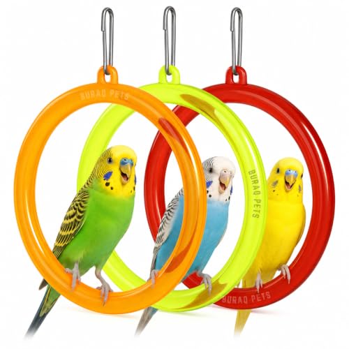 Buraq 3 Pcs Interactive Playful