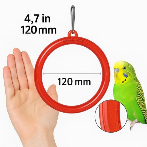 Buraq 3 Pcs Interactive Playful
