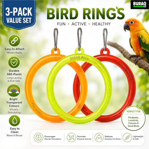 Buraq 3 Pcs Interactive Playful