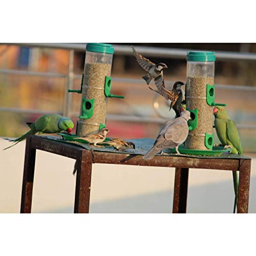 Plastic Bird Feeder For Bird Food Large 1 Piece_Green - Image 3