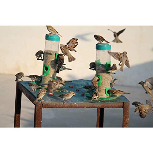 Plastic Bird Feeder For Bird Food Large 1 Piece_Green - Image 4