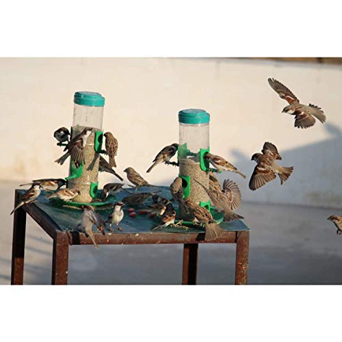 Plastic Bird Feeder For Bird Food Large 1 Piece_Green - Image 5