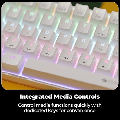 Zebronics Mechanical Keyboard, Silent Linear