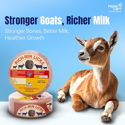 RGS Vet Richminlick Cow Lick
