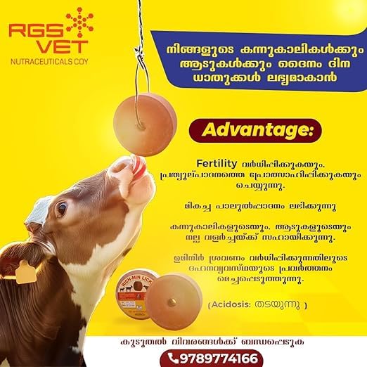 RGS Vet Richminlick Cow Lick