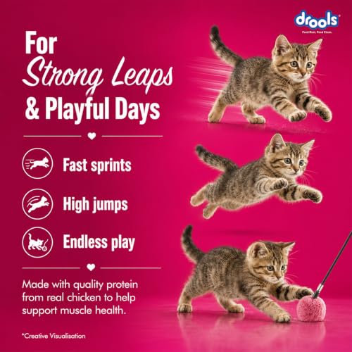 Drools Creamy Lickable Cat Treats