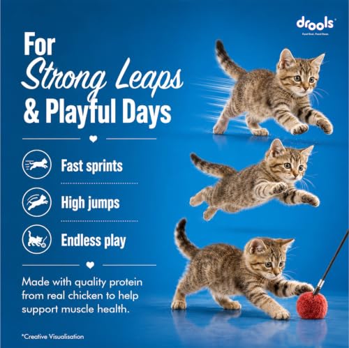 Drools Creamy Lickable Cat Treats