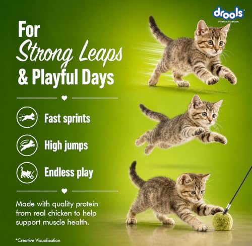 Drools Creamy Lickable Cat Treats