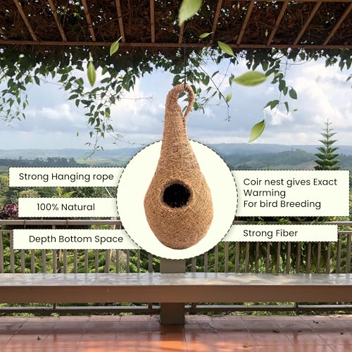 Handwoven Coir Bird Nest