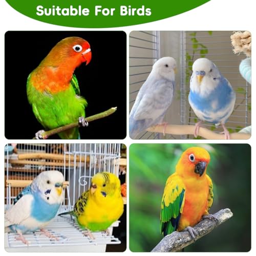 Qpets Hanging Bird Hammock