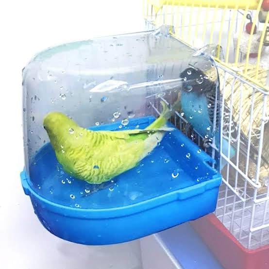 Plastic Birds Bath Tub