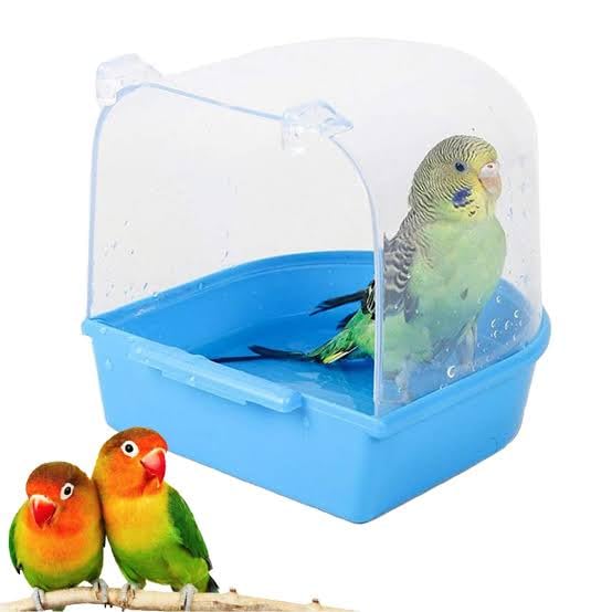 Plastic Birds Bath Tub