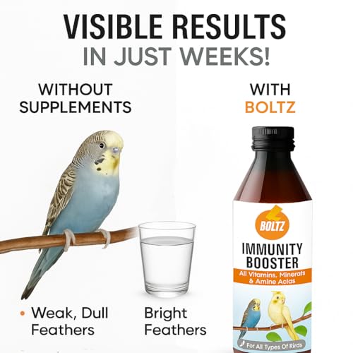 Boltz Immunity Booster for All