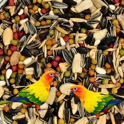 Bird Food for Conures 1