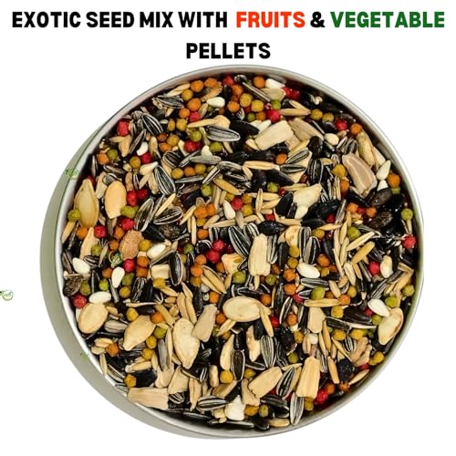 Bird Food for Conures 1