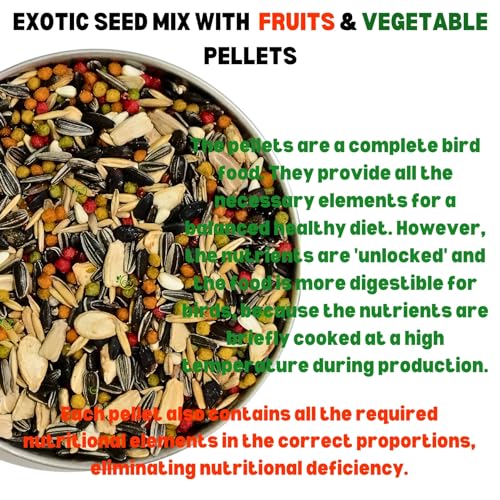 Bird Food for Conures 1