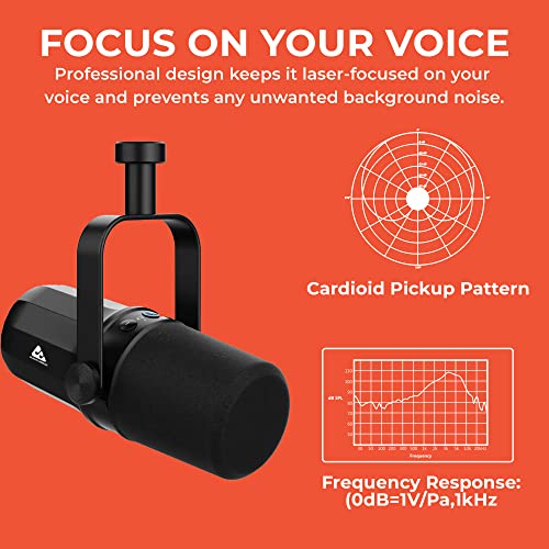 Audio Array AM-C11 XLR/USB Dynamic