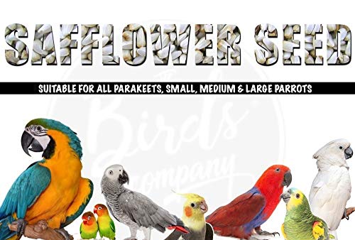 The Birds Company Premium Safflower