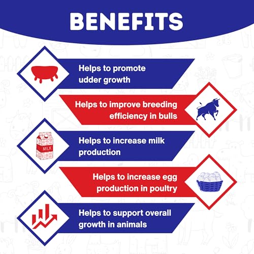 REFIT Vitamin H for Cow