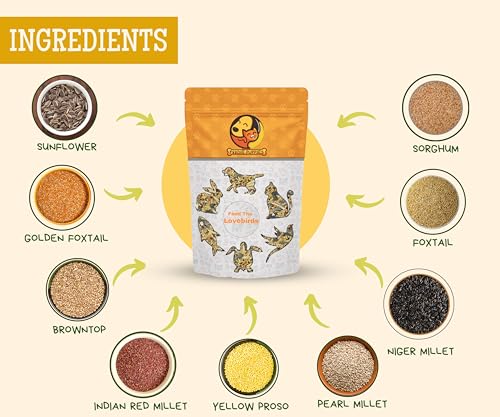 Foodie Puppies Bird Food