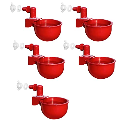 HASTHIP® 6 Pcs Chicken Feeder
