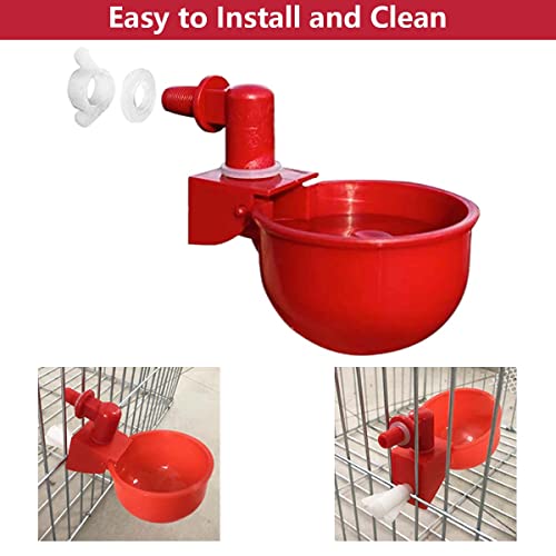 HASTHIP® 6 Pcs Chicken Feeder