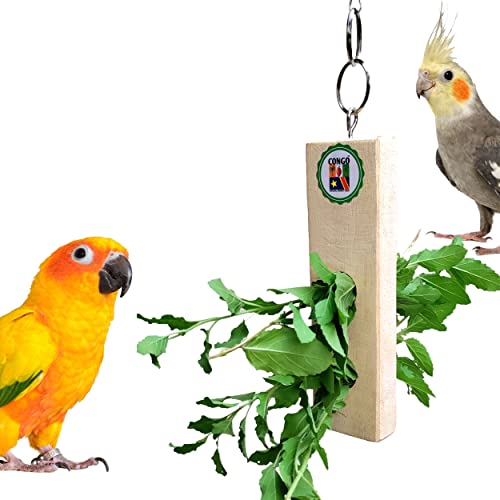 Congo® Twigs Holder for Holding