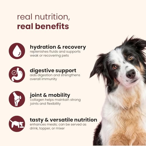 Nootie Chicken Bone Broth