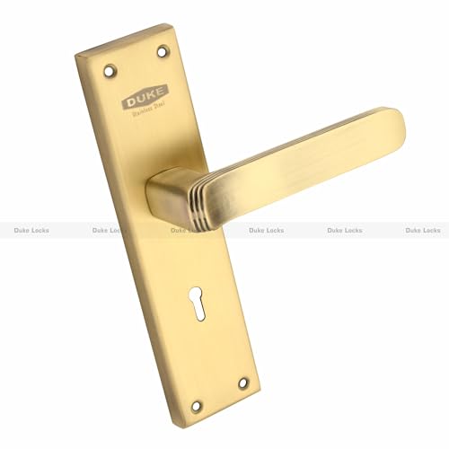DUKE Mortise Handle Set