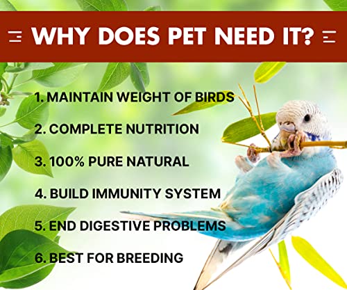 Boltz Bird Food for Budgies